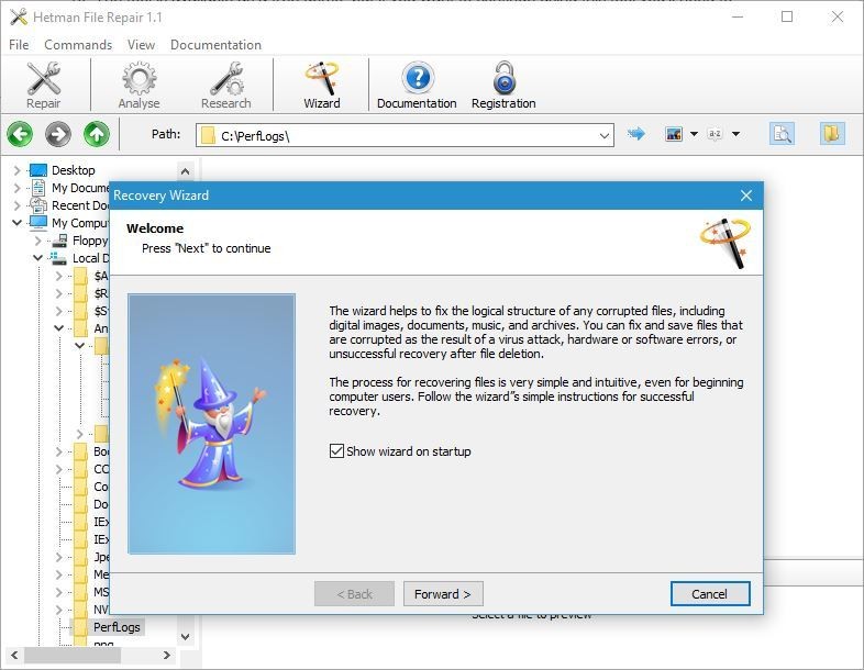 Интерфейс программы Hetman File Repair