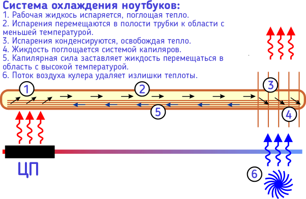 Схема системы охлаждения ноутбука